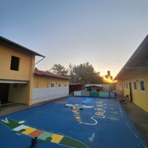Obra de Elaine Meneghini