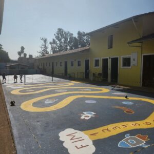 Obra de Elaine Meneghini