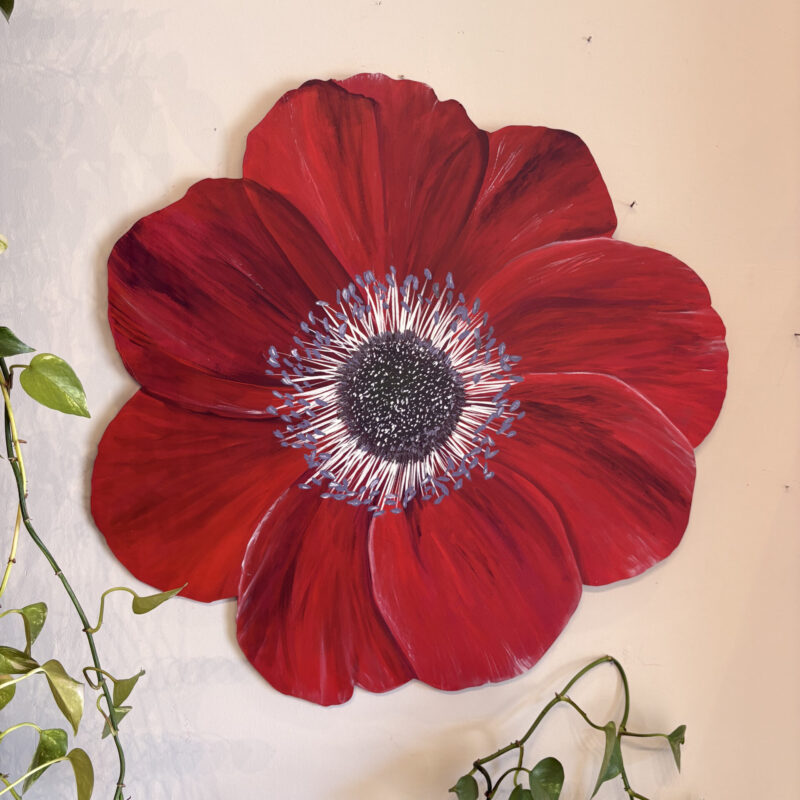 Flor de Anêmona